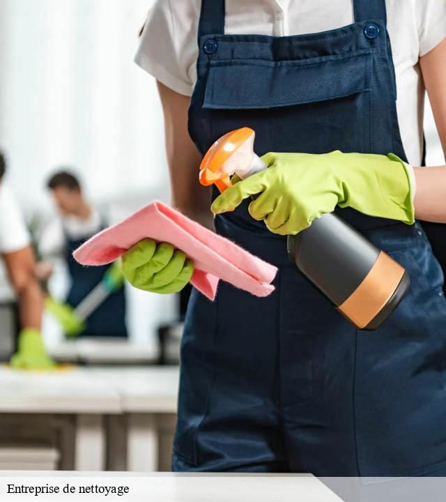 Entreprise de nettoyage celles-34800 Entreprise de nettoyage Baptiste BJK