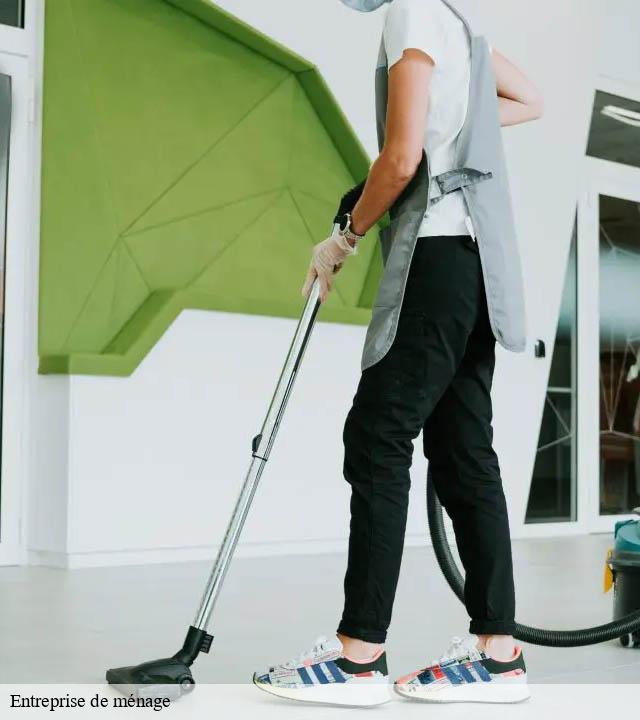 Entreprise de ménage cers-34420 Entreprise de nettoyage Baptiste BJK