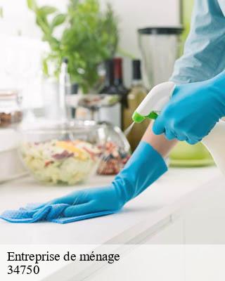 Entreprise de ménage villeneuve-les-maguelone-34750 Entreprise de nettoyage Baptiste BJK