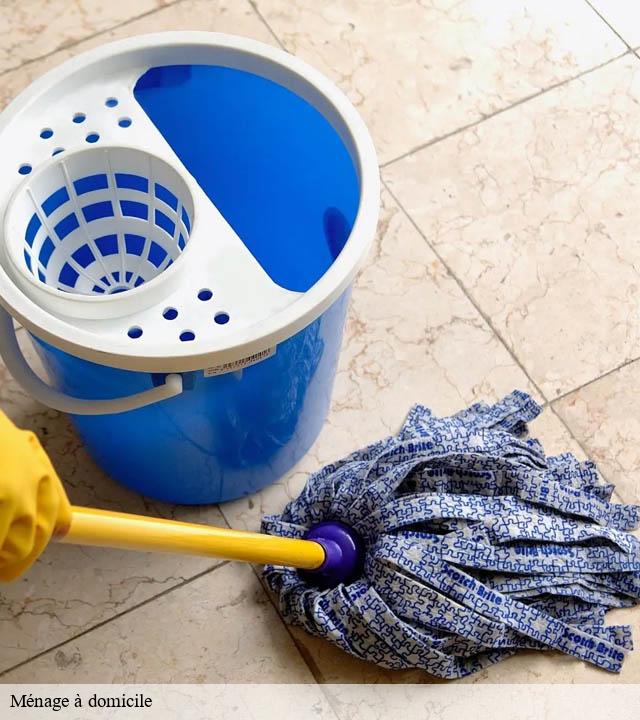 Ménage à domicile florensac-34510 Entreprise de nettoyage Baptiste BJK