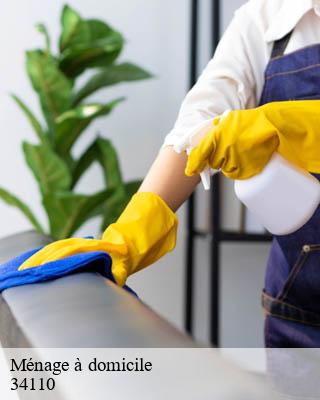 Ménage à domicile la-peyrade-34110 Entreprise de nettoyage Baptiste BJK