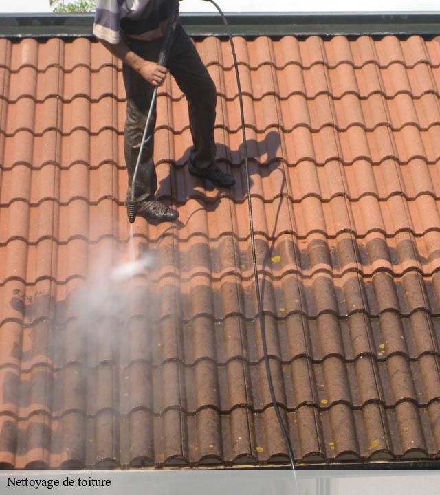 Nettoyage de toiture caussiniojouls-34600 Entreprise de nettoyage Baptiste BJK