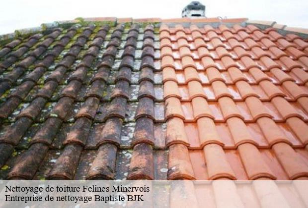 Nettoyage de toiture felines-minervois-34210 Entreprise de nettoyage Baptiste BJK