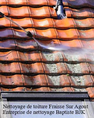 Nettoyage de toiture fraisse-sur-agout-34330 Entreprise de nettoyage Baptiste BJK