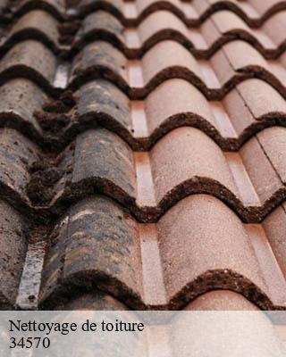 Nettoyage de toiture montarnaud-34570 Entreprise de nettoyage Baptiste BJK