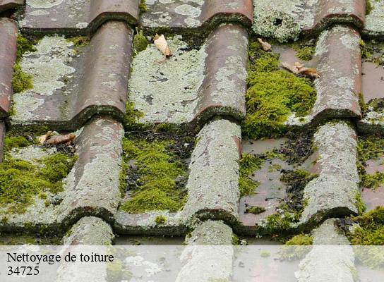 Nettoyage de toiture saint-felix-de-lodez-34725 Entreprise de nettoyage Baptiste BJK