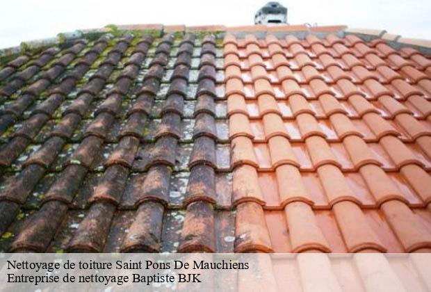 Nettoyage de toiture saint-pons-de-mauchiens-34230 Entreprise de nettoyage Baptiste BJK