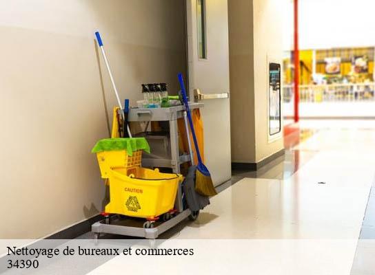 Nettoyage de bureaux et commerces saint-martin-de-l-arcon-34390 Entreprise de nettoyage Baptiste BJK